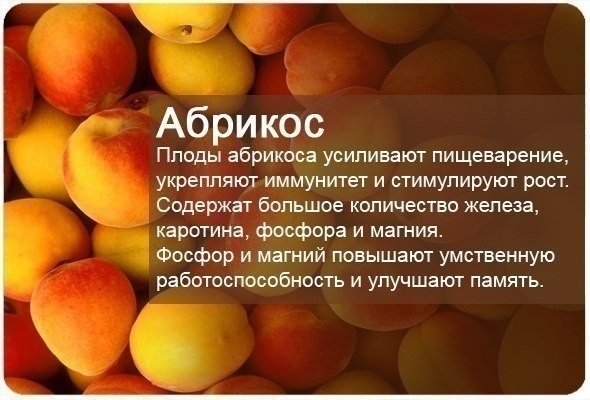 польза фруктов
