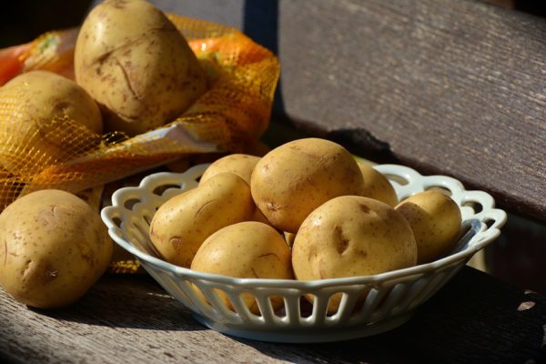 факты о картофеле фото